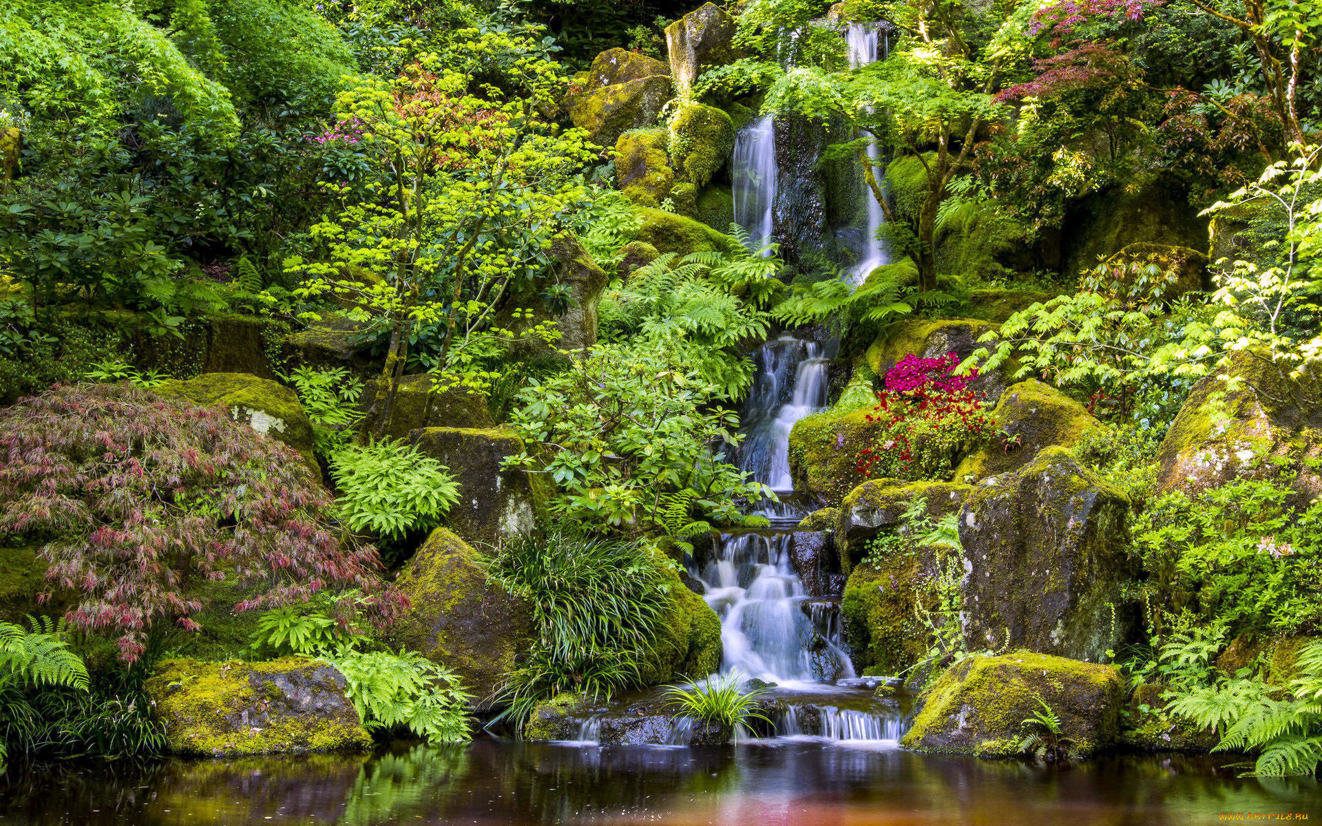 japanese garden, portland, maine, usa, , , japanese, garden